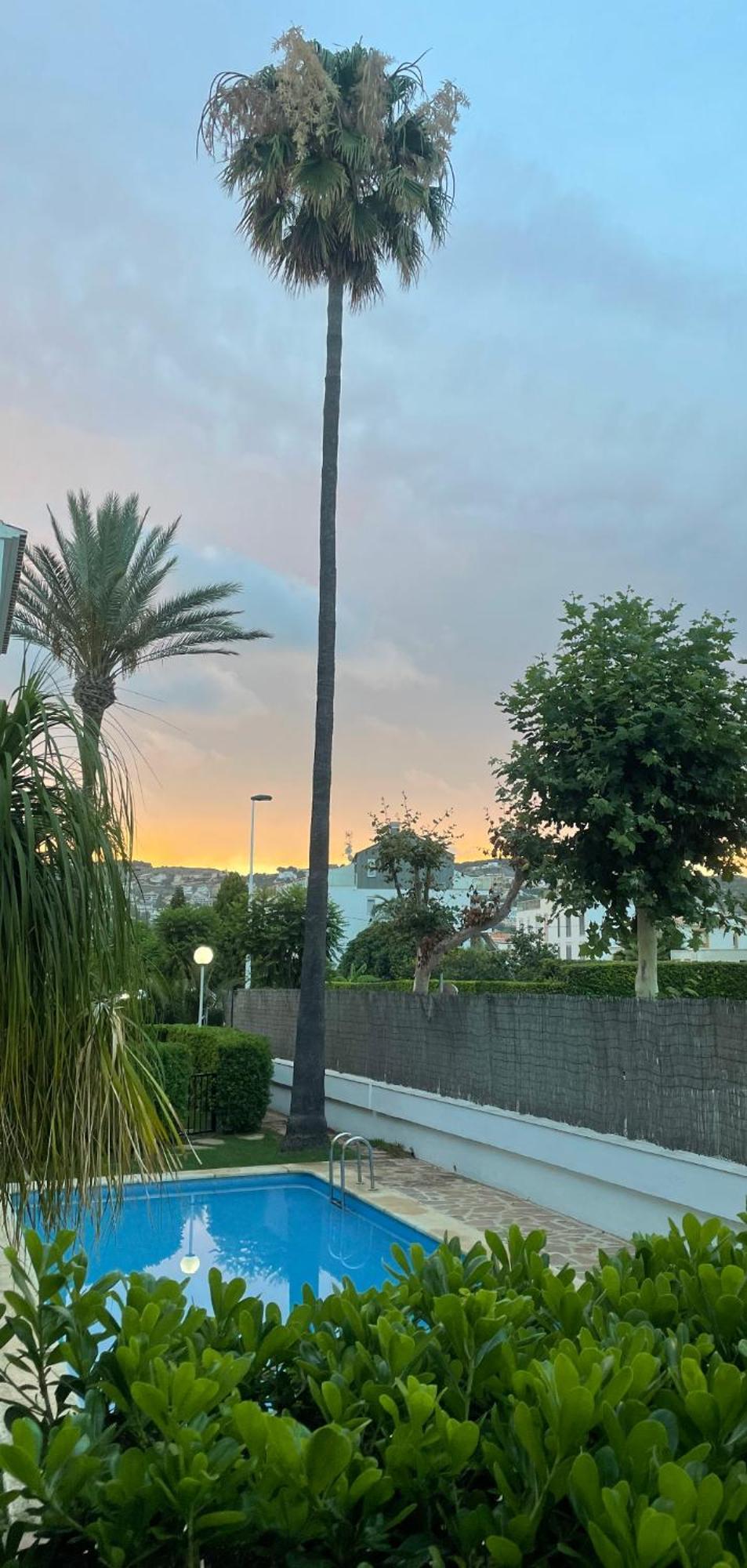Appartamento Casa Ole Jávea Esterno foto